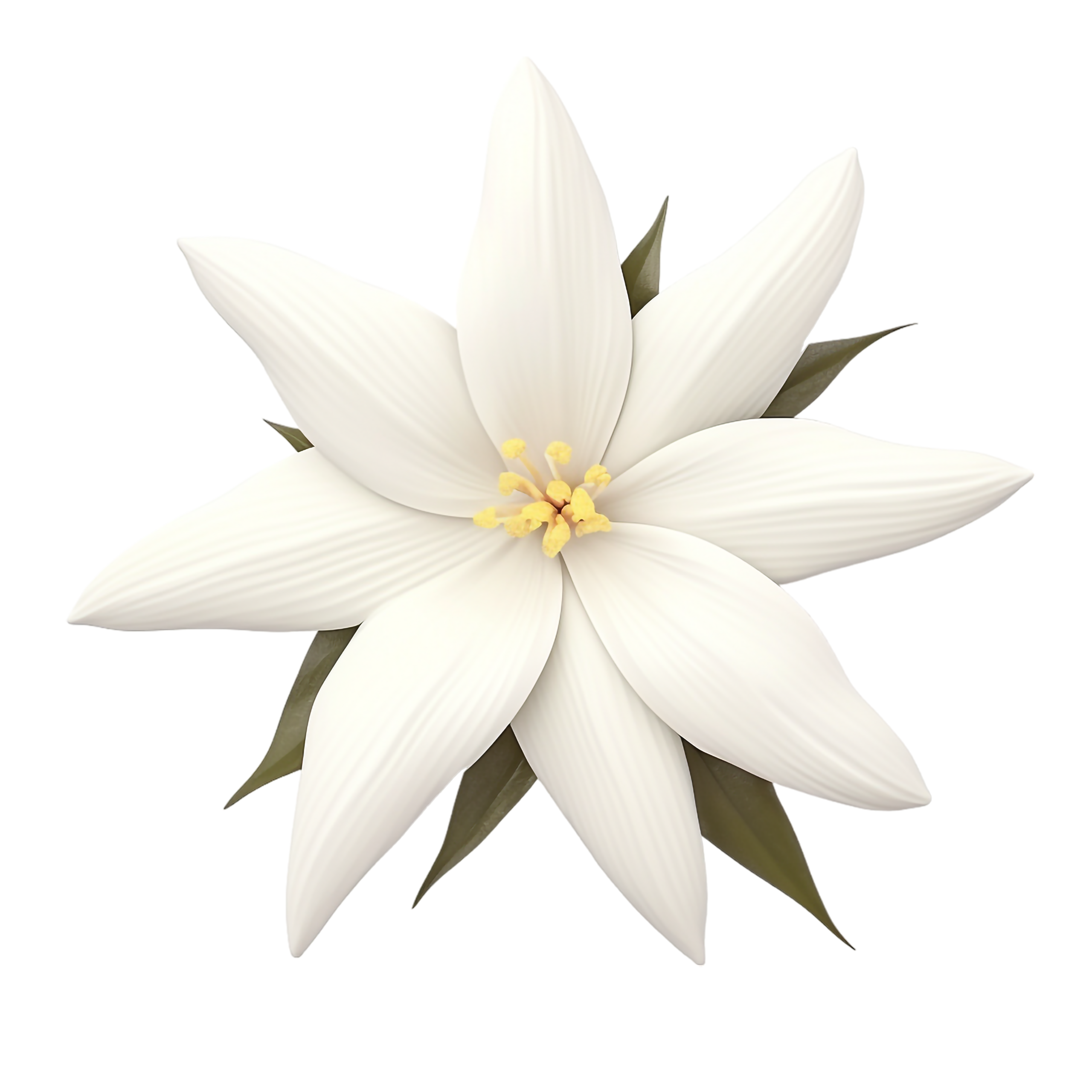 Home vecteezy vanilla flower on transparent background 47827313